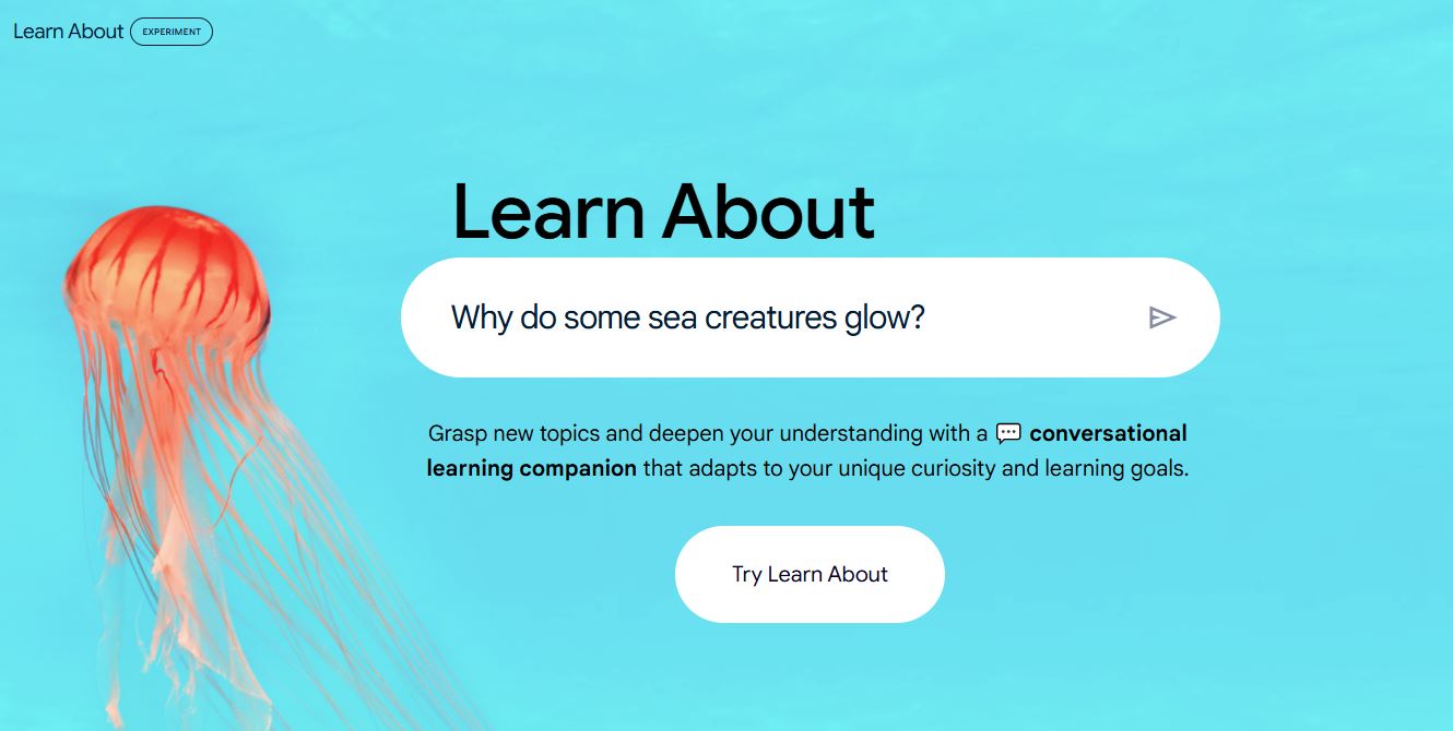 Google Learn About AI 1